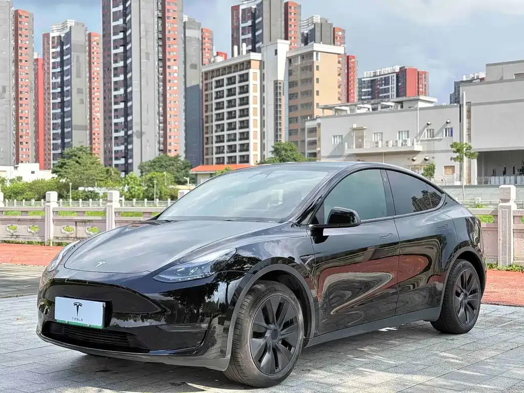 Tesla Model Y — фото 1