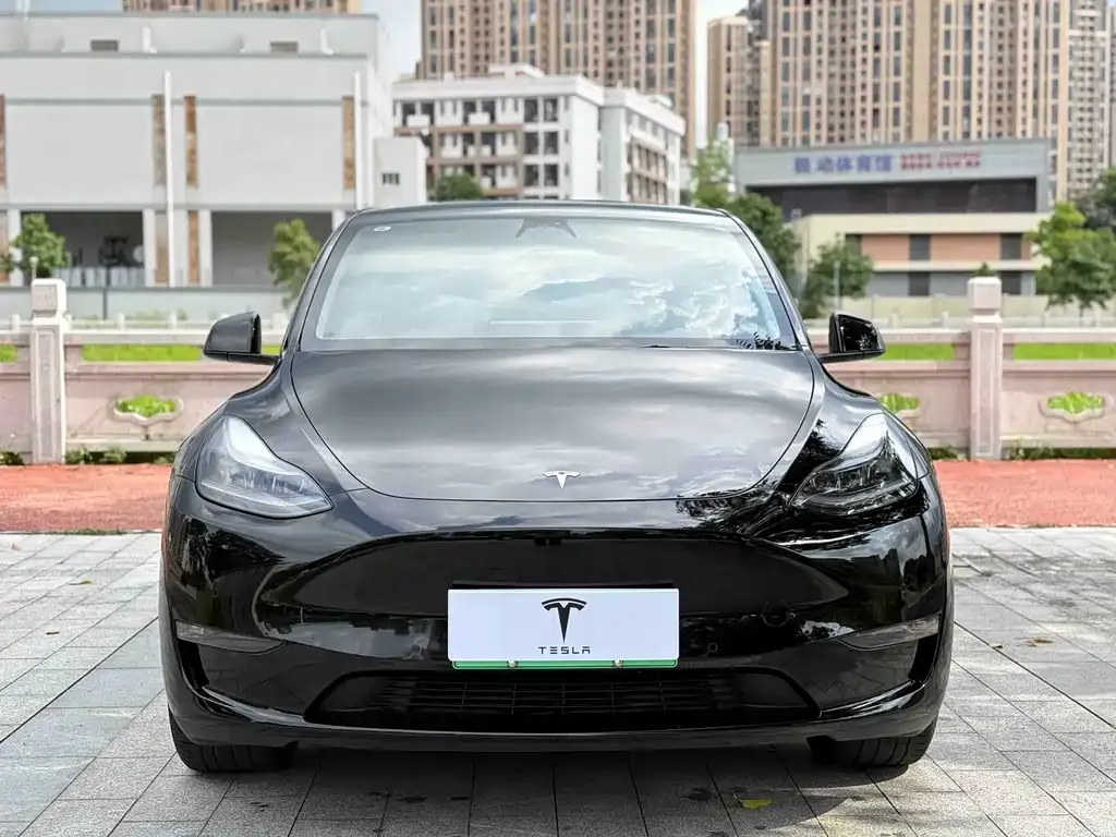 Tesla Model Y — фото 5