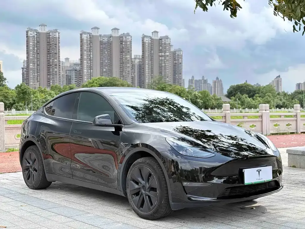 Tesla Model Y — фото 4