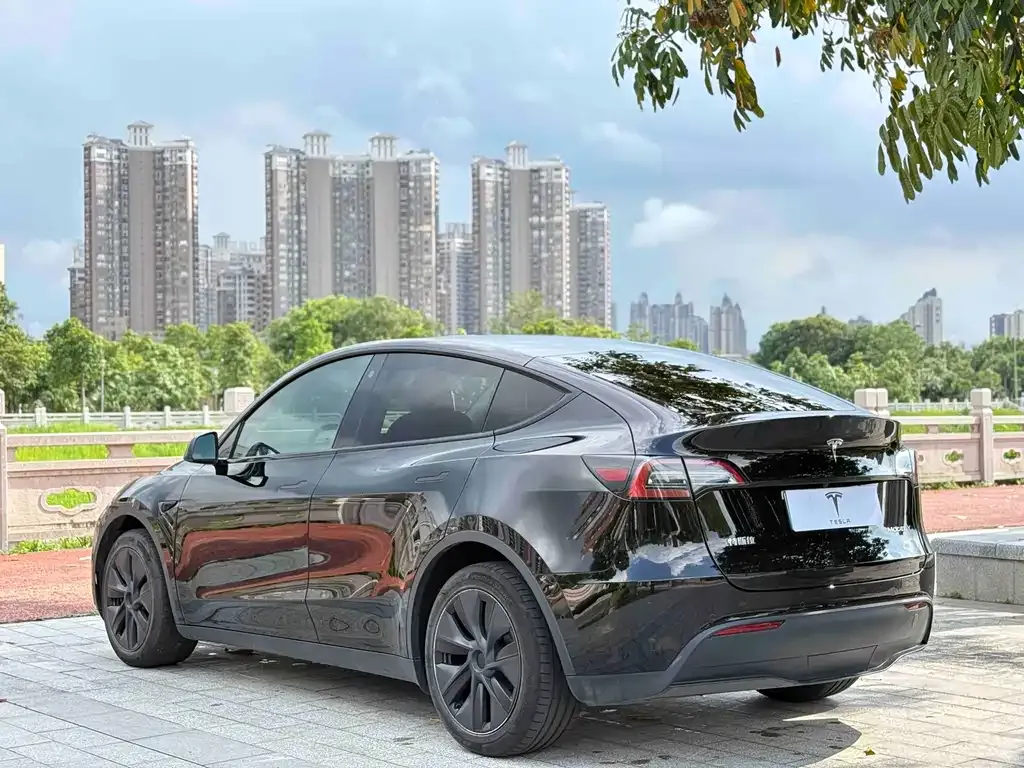 Tesla Model Y — фото 8