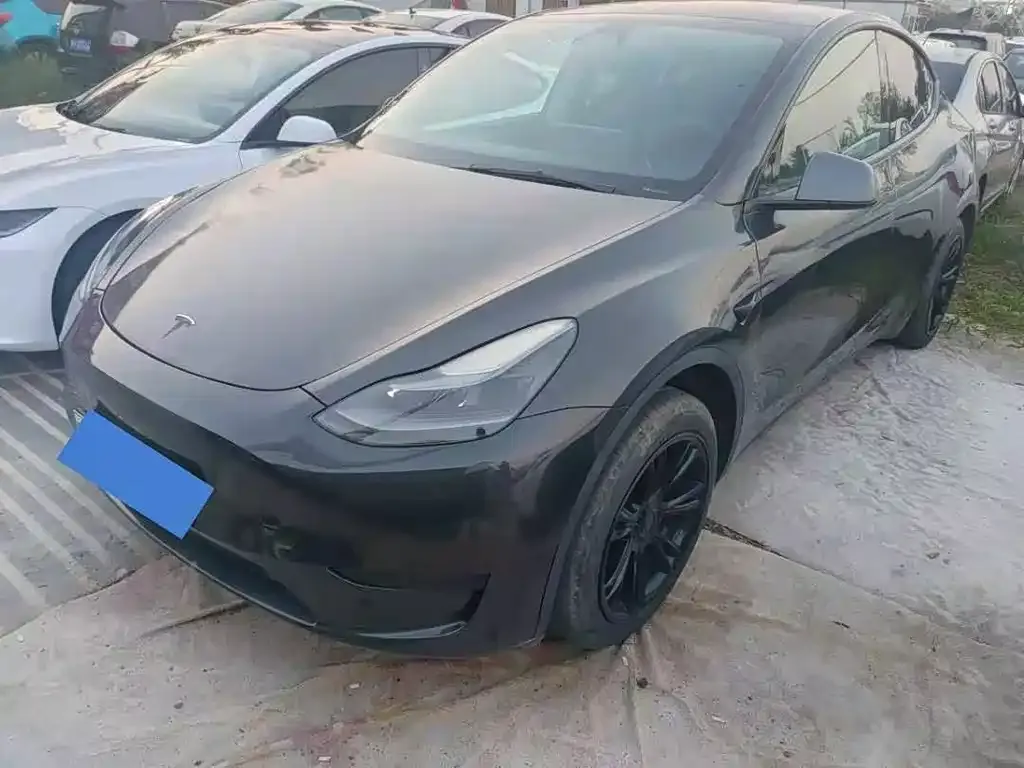 Tesla Model Y — фото 1