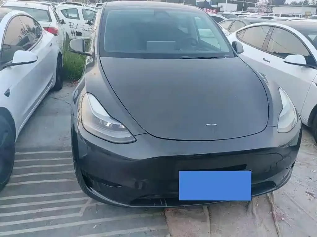 Tesla Model Y — фото 9