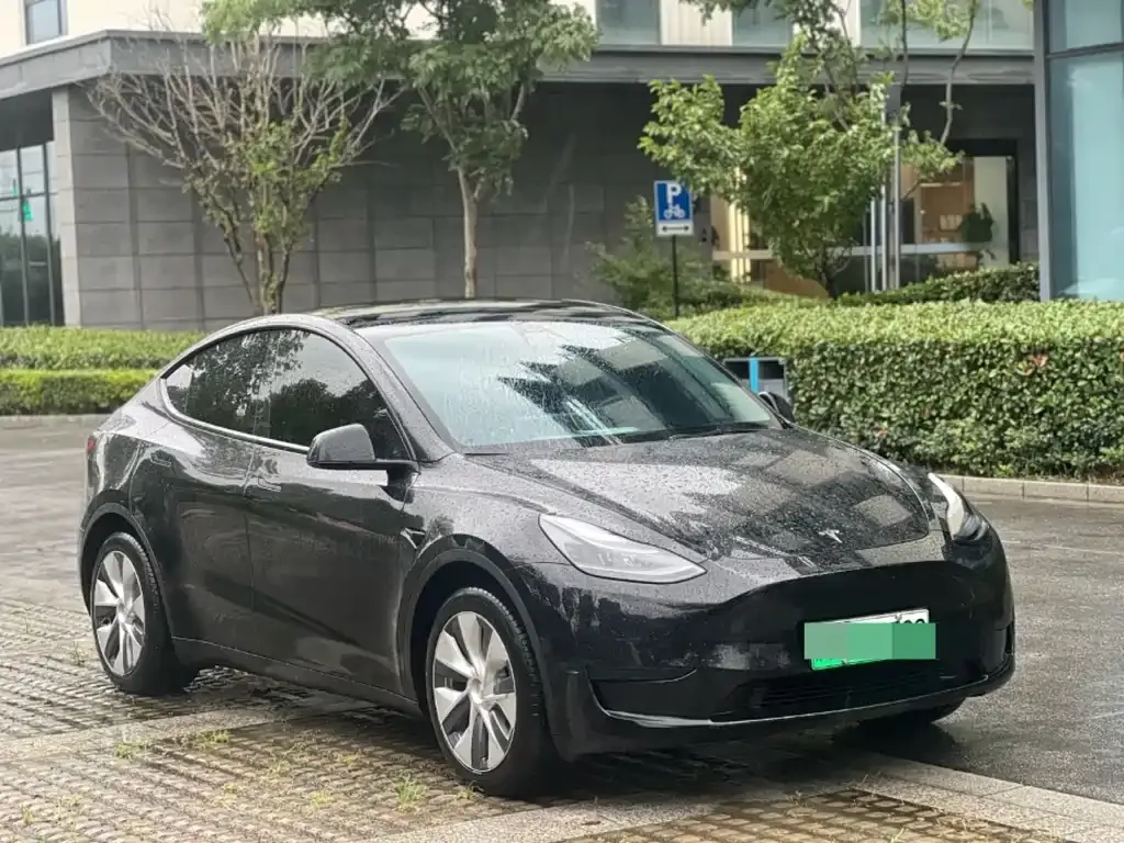Tesla Model Y — фото 8