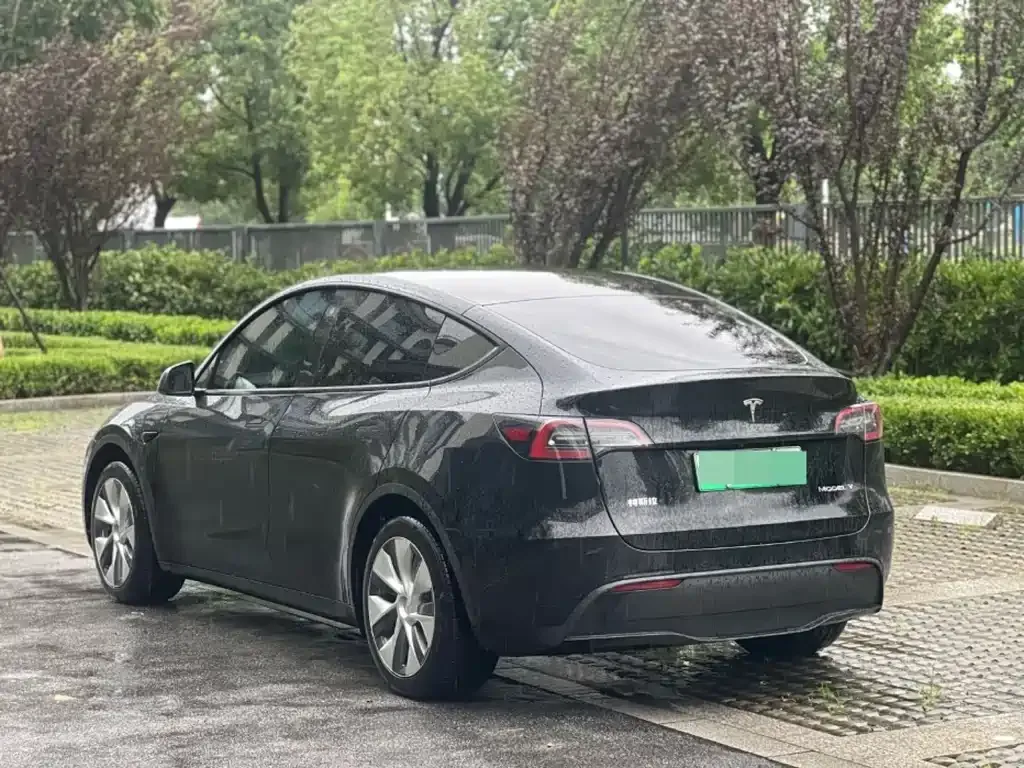 Tesla Model Y — фото 2