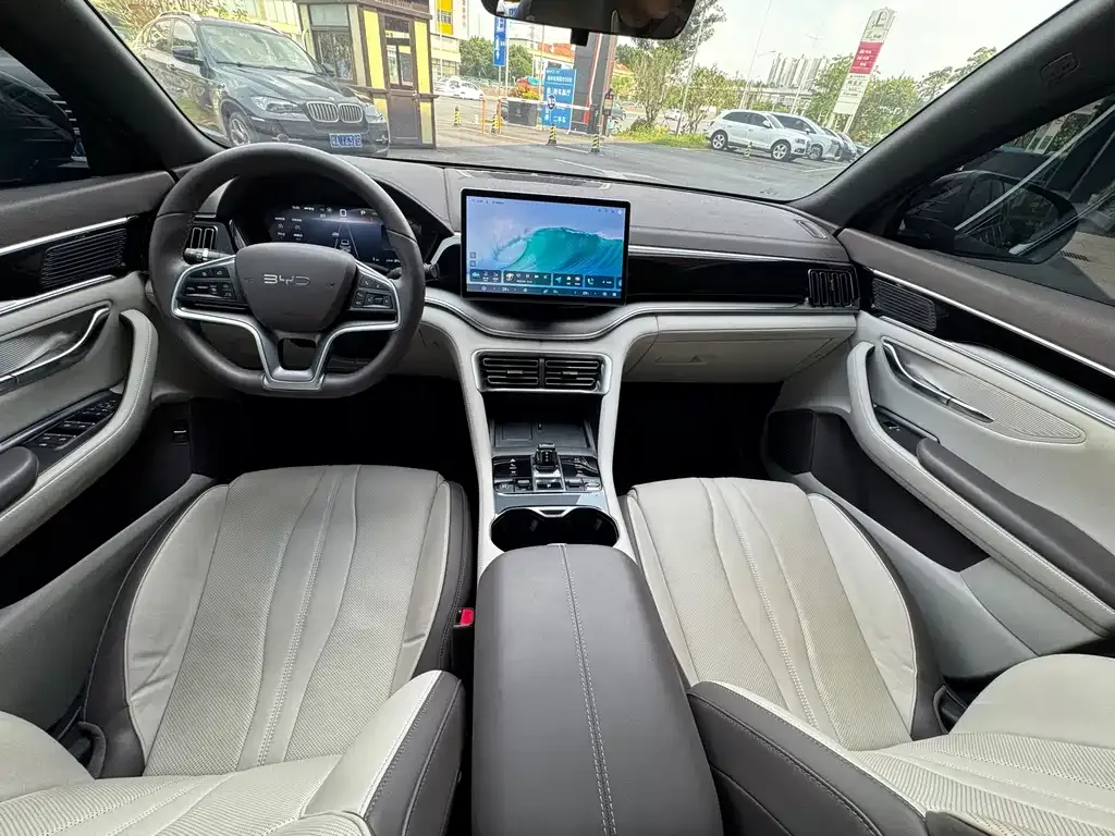 BYD PLUS New Energy — фото 8