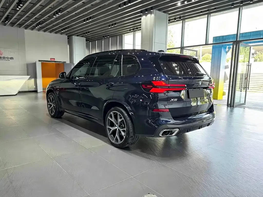 BMW X5 — фото 5