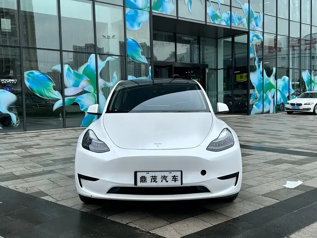 Tesla Model Y — фото 3