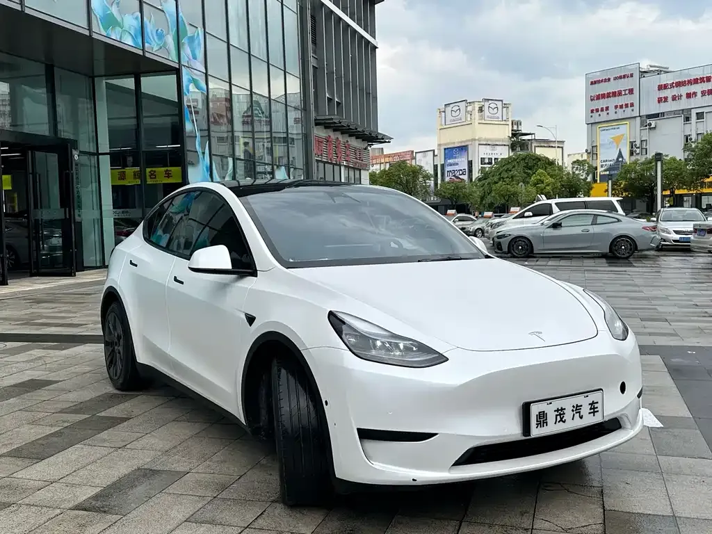 Tesla Model Y — фото 6