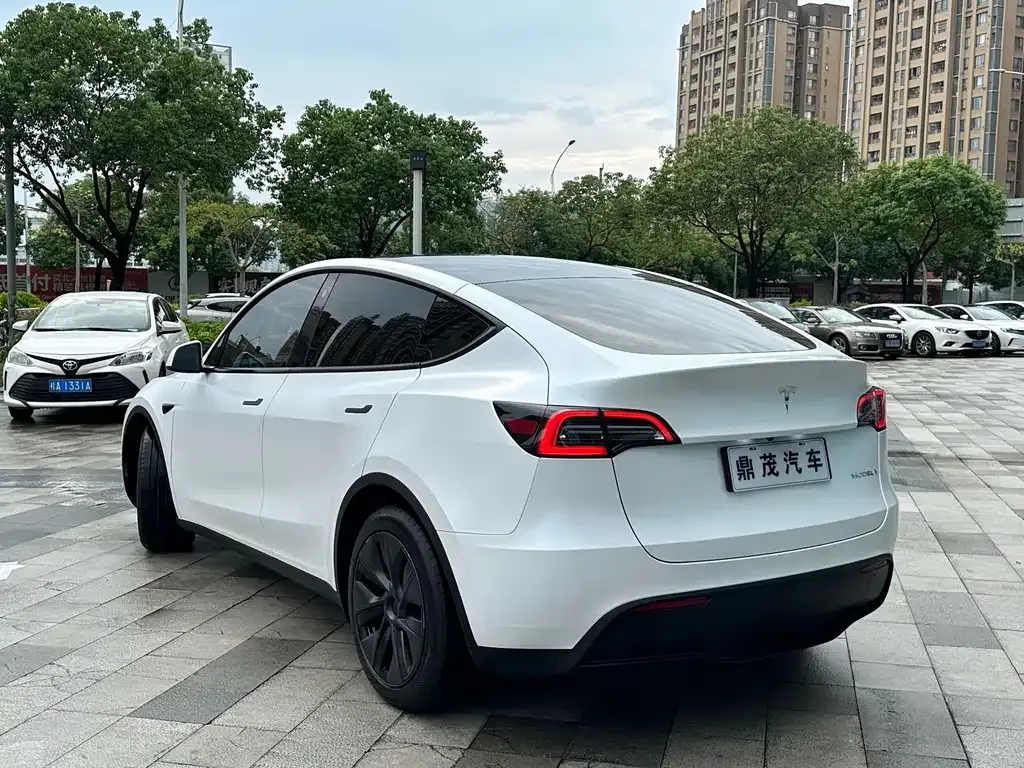 Tesla Model Y — фото 8
