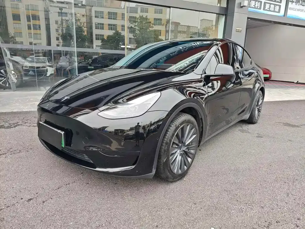 Tesla Model Y — фото 1