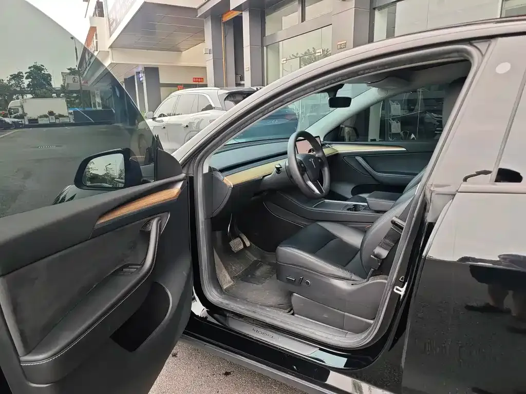 Tesla Model Y — фото 9
