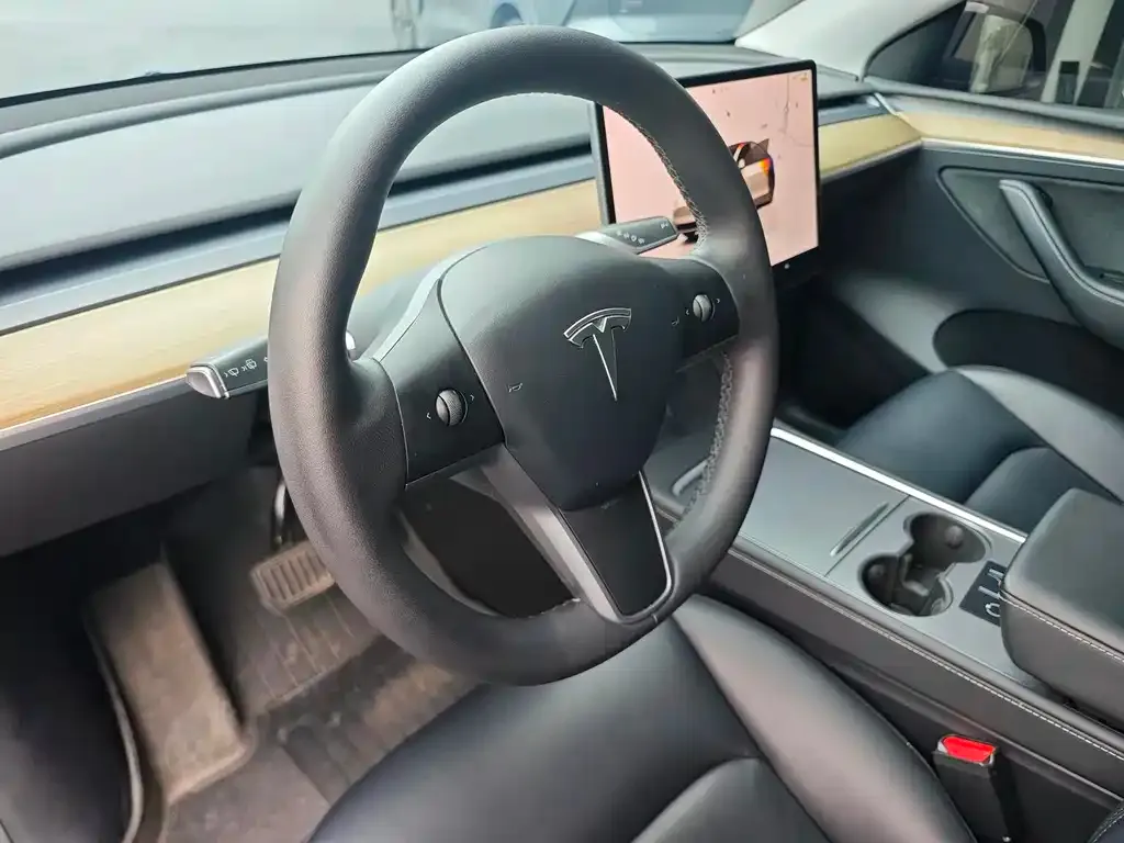 Tesla Model Y — фото 3