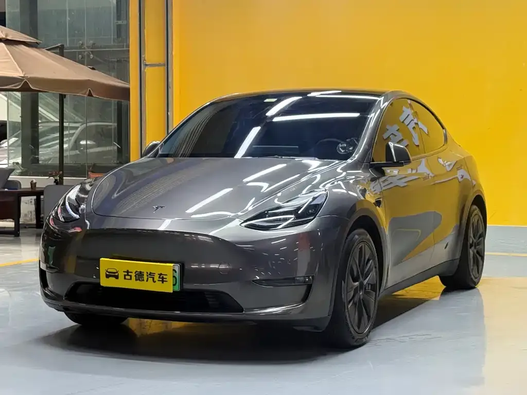 Tesla Model Y — фото 1