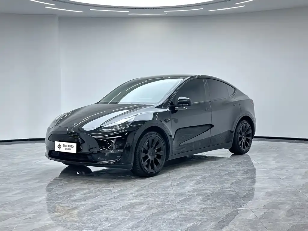 Tesla Model Y — фото 1
