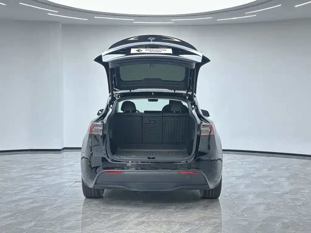 Tesla Model Y — фото 10