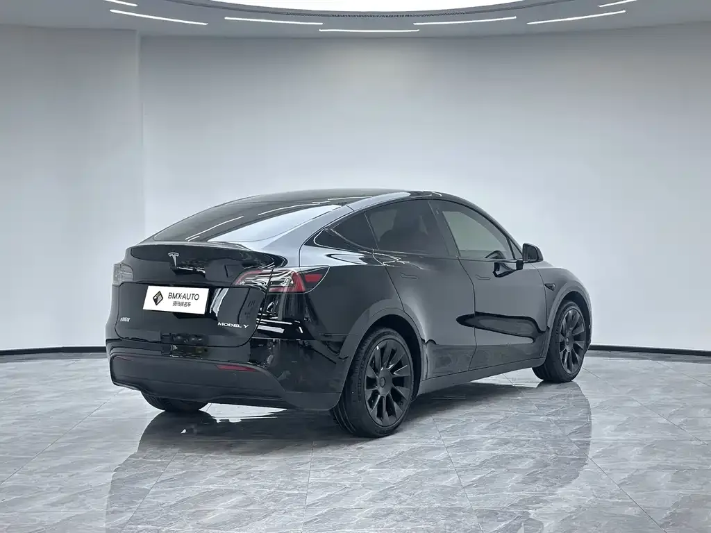 Tesla Model Y — фото 8