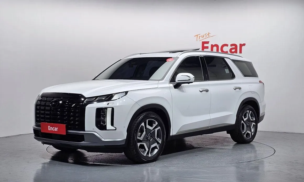 Hyundai Palisade — фото 1