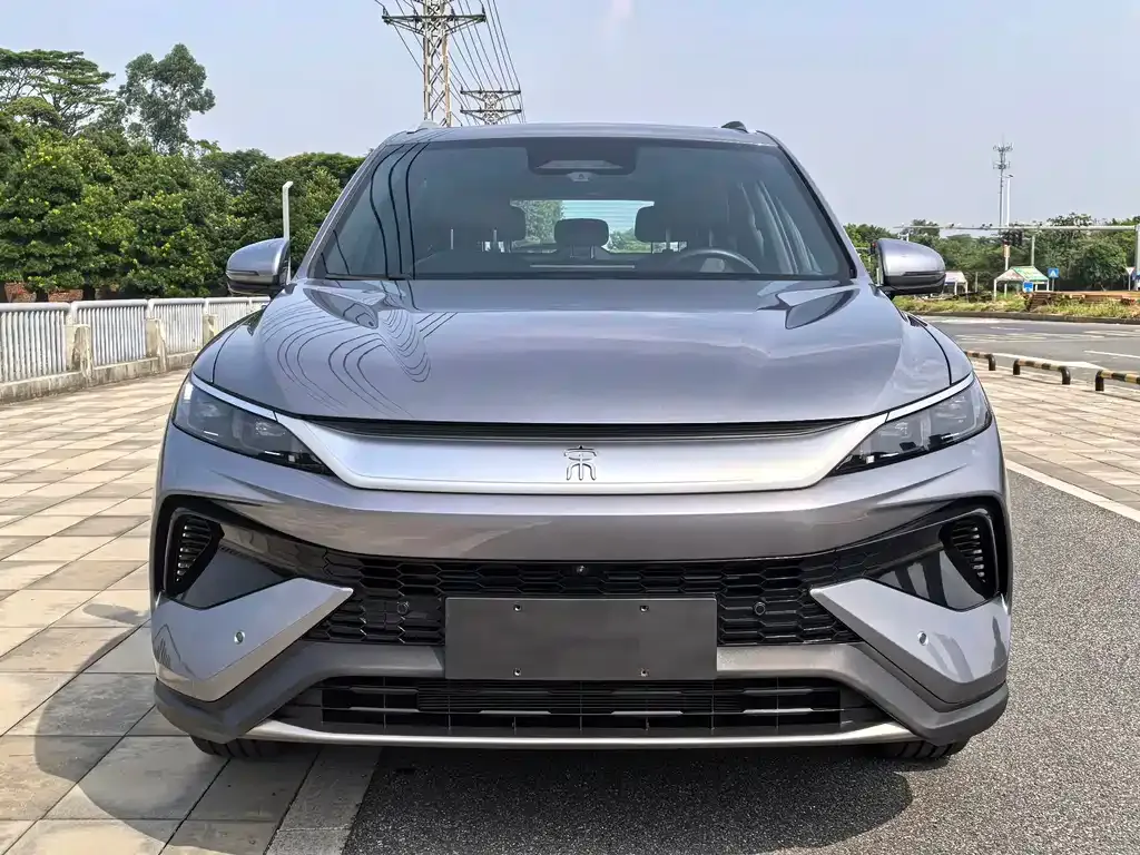 BYD Pro New Energy — фото 2