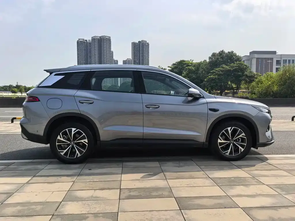 BYD Pro New Energy — фото 10