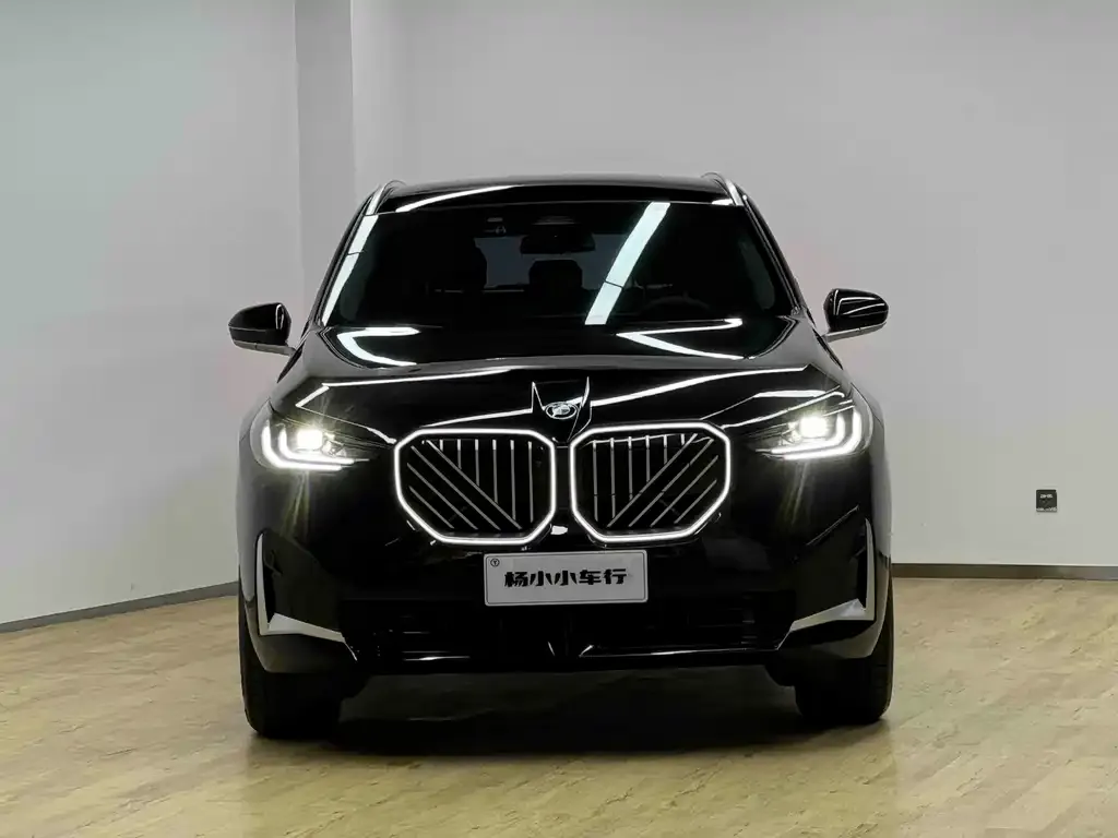 BMW X3 — фото 2