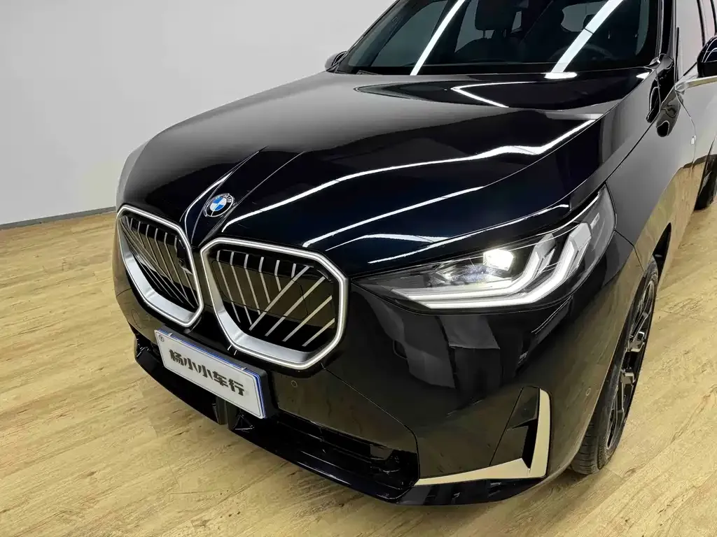 BMW X3 — фото 10