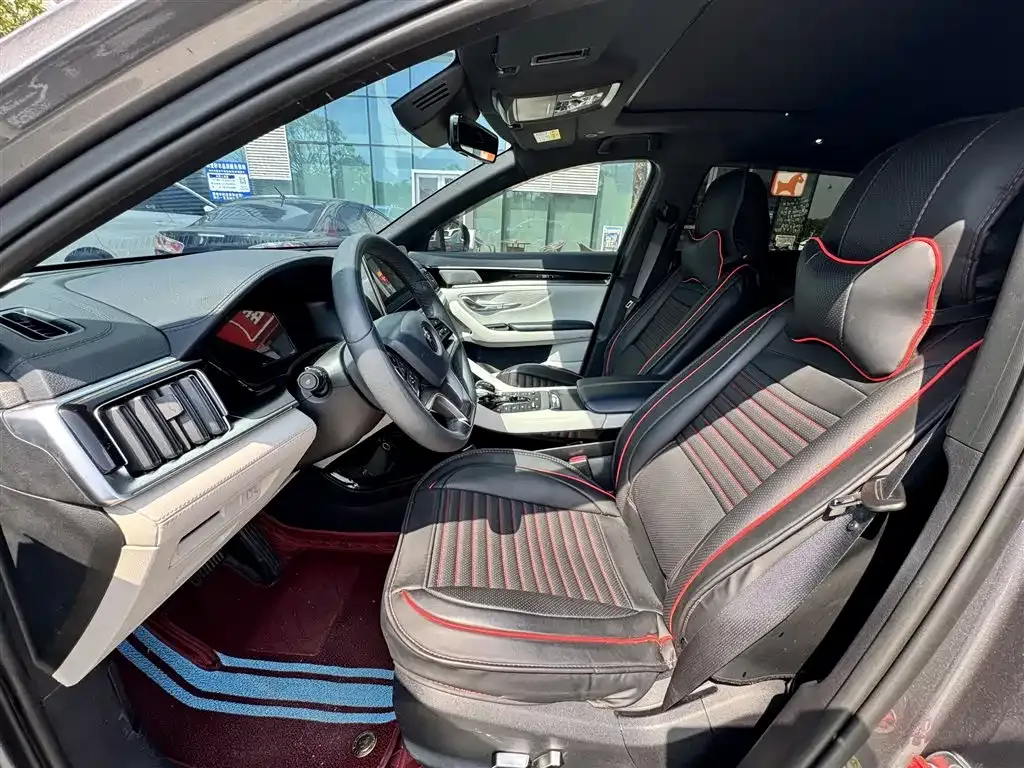 BYD PLUS New Energy — фото 4