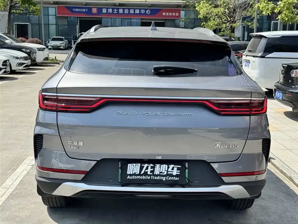 BYD PLUS New Energy — фото 6