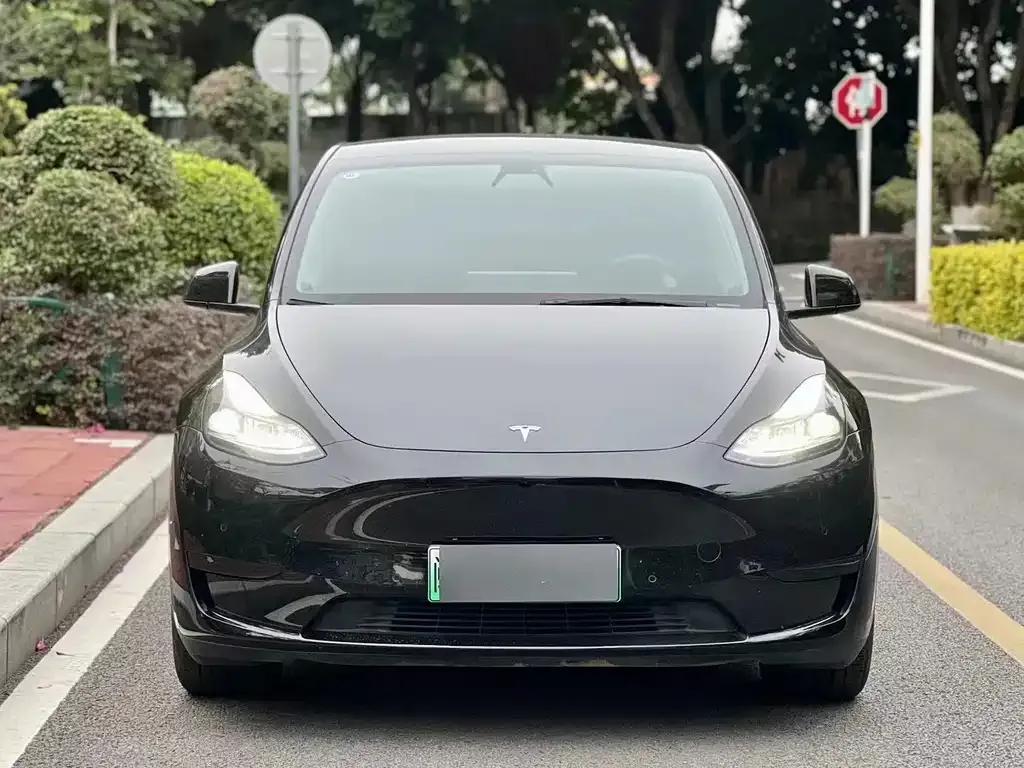 Tesla Model Y — фото 4