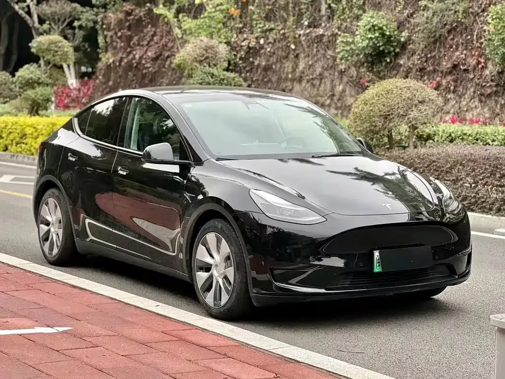 Tesla Model Y — фото 9