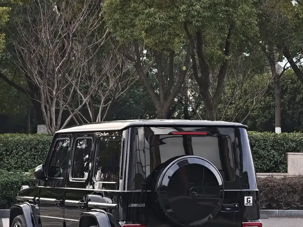 Mercedes-Benz G-Class AMG — фото 7