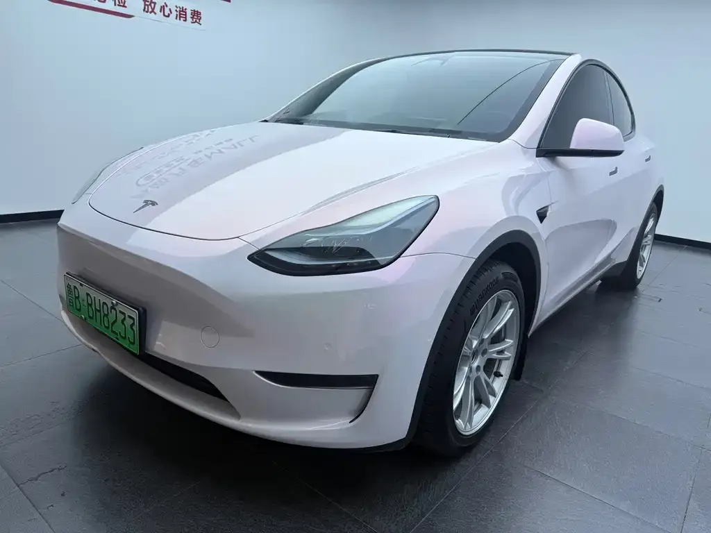 Tesla Model Y — фото 1