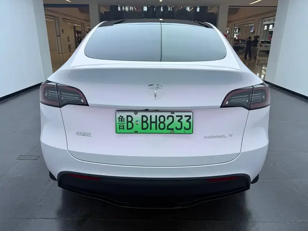 Tesla Model Y — фото 2