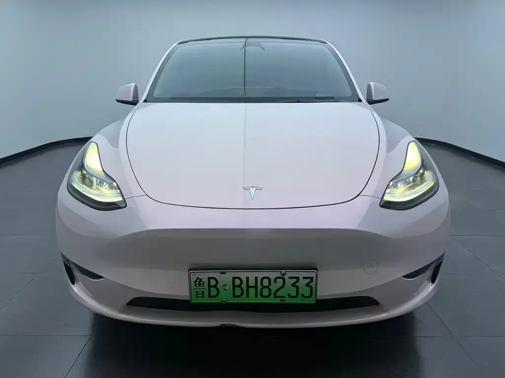 Tesla Model Y — фото 5