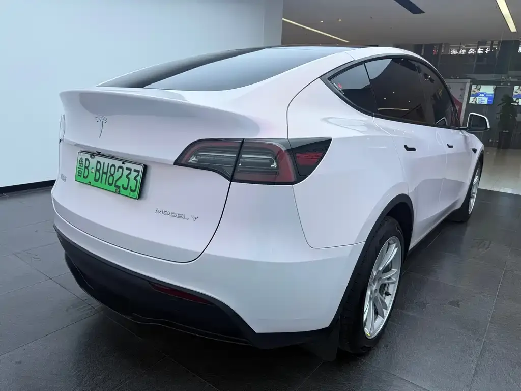 Tesla Model Y — фото 10