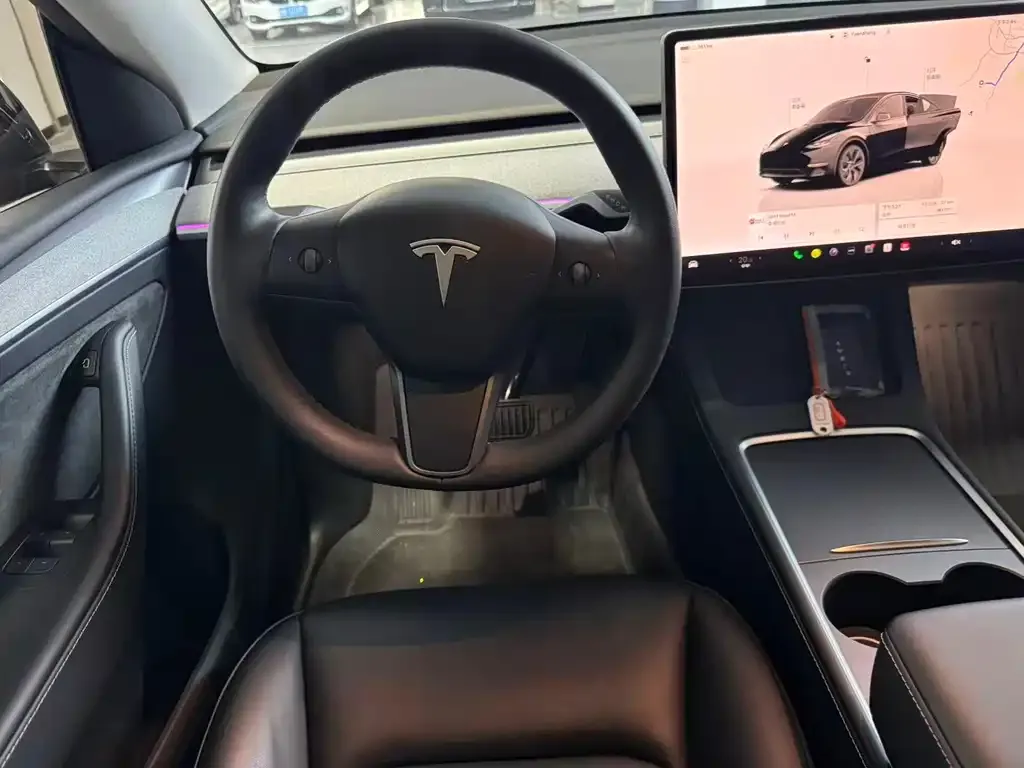 Tesla Model Y — фото 10
