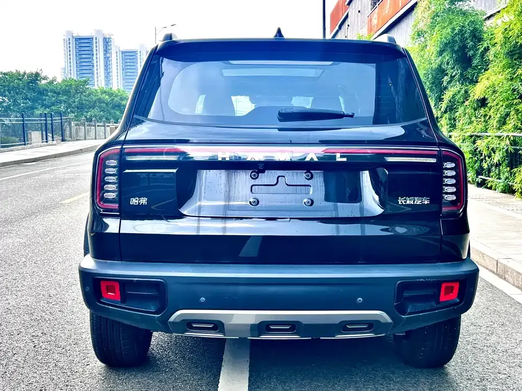 Haval Big Dog — фото 10