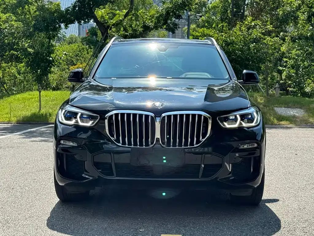 BMW X5 (Import) — фото 4