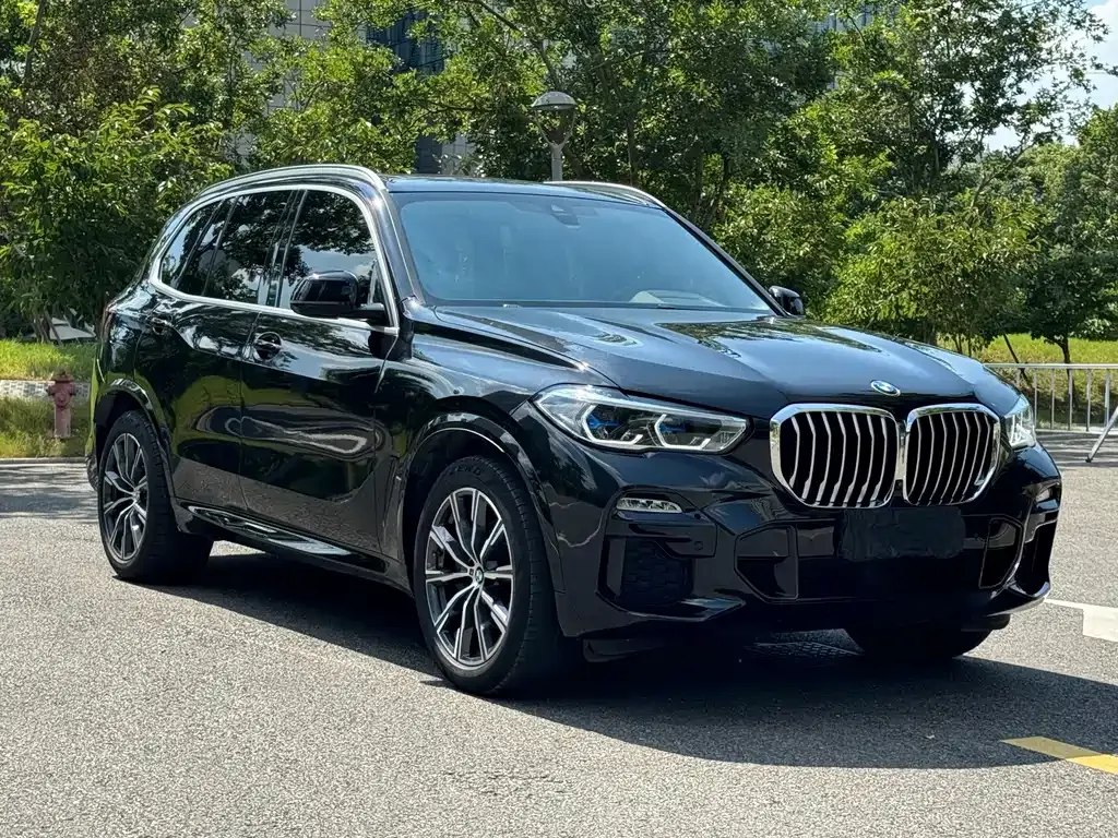 BMW X5 (Import) — фото 9