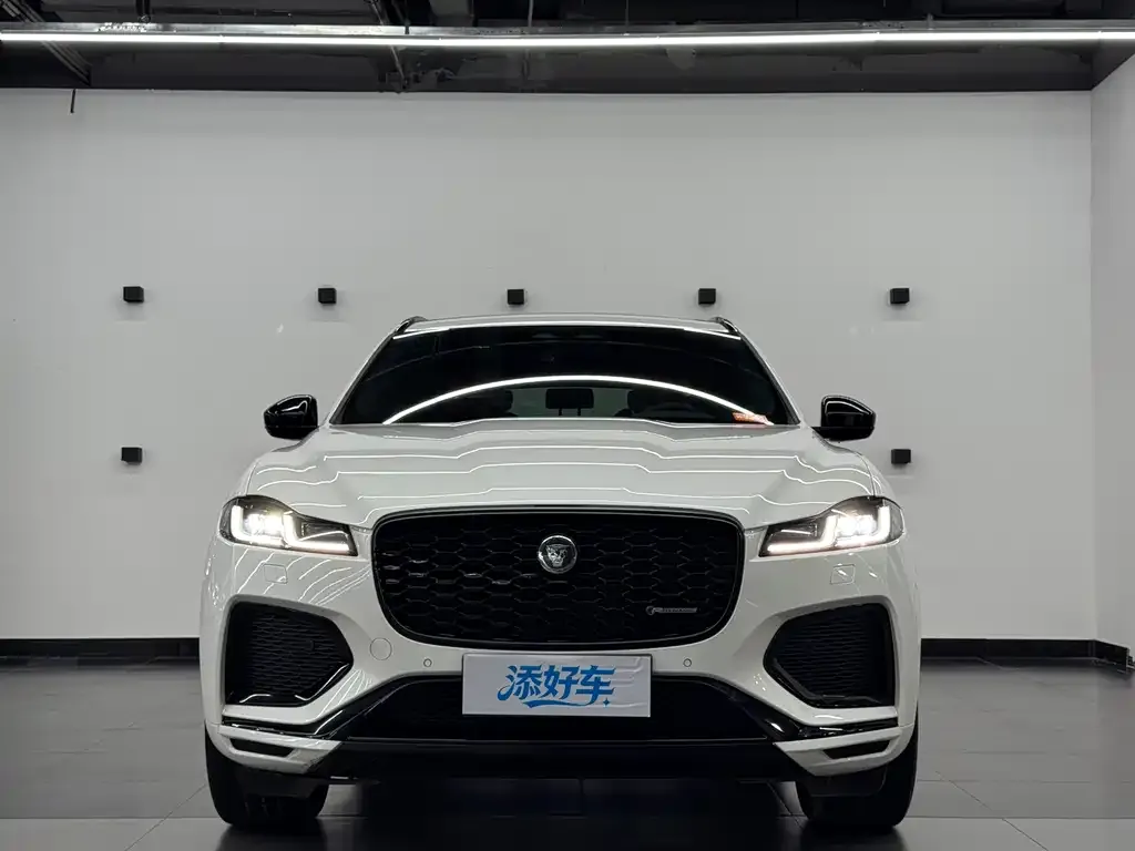 Jaguar F-PACE — фото 6