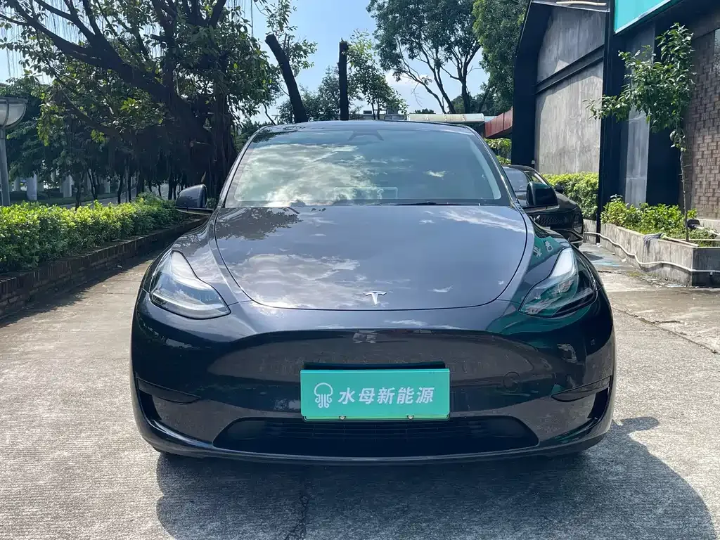 Tesla Model Y — фото 7