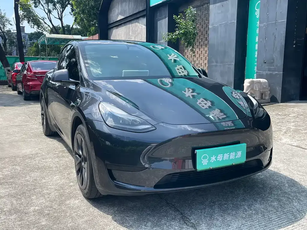 Tesla Model Y — фото 8