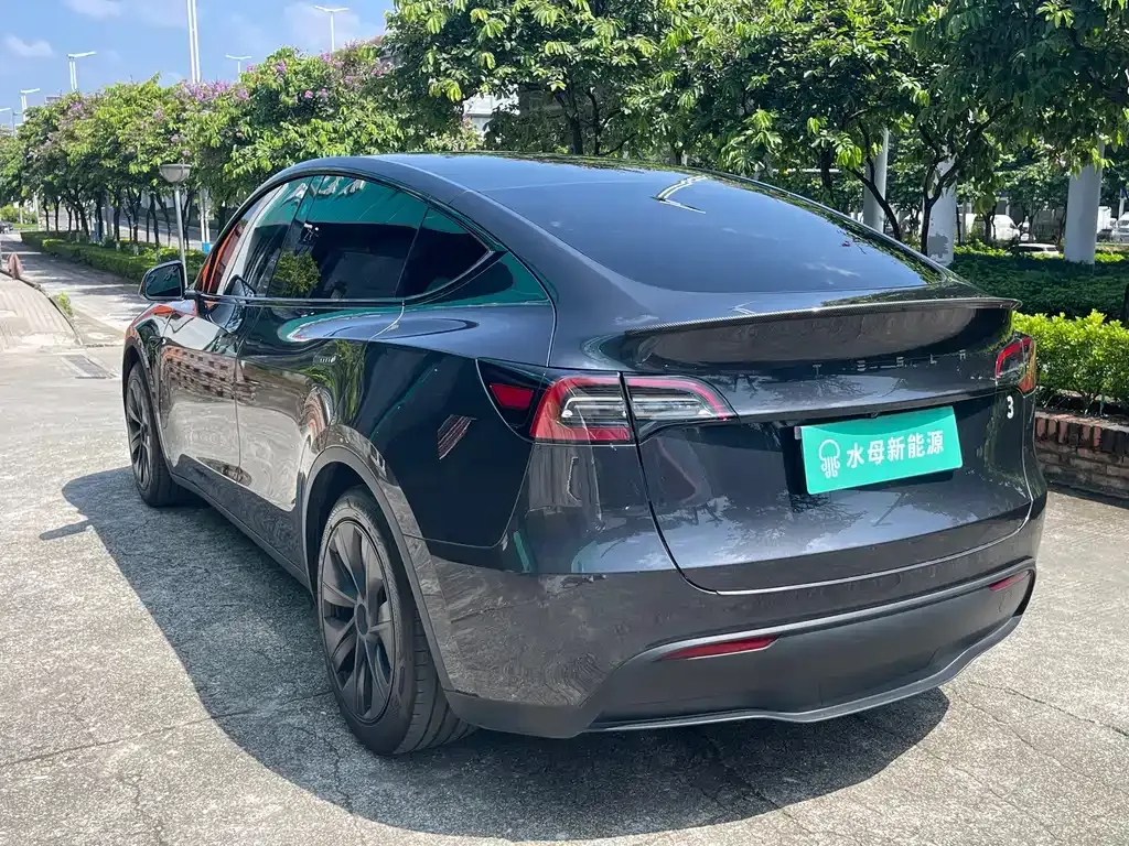 Tesla Model Y — фото 3