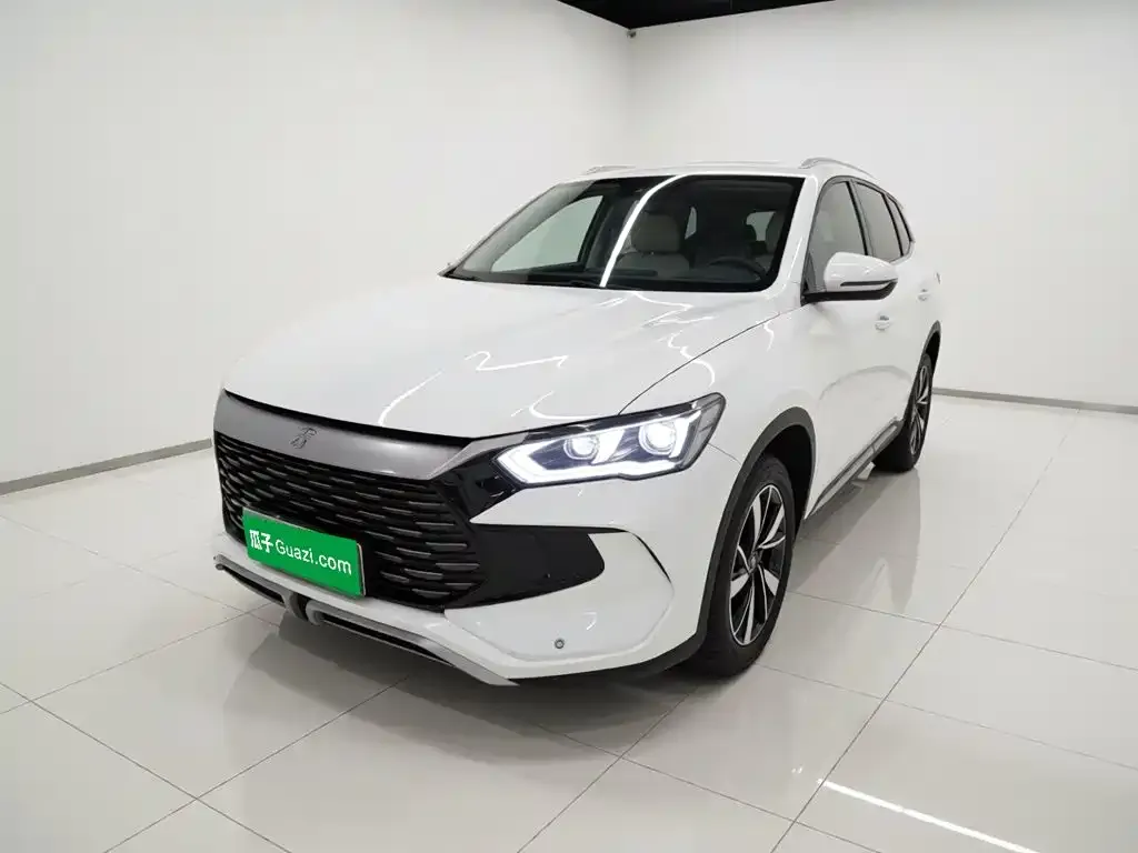 BYD Pro New Energy — фото 1