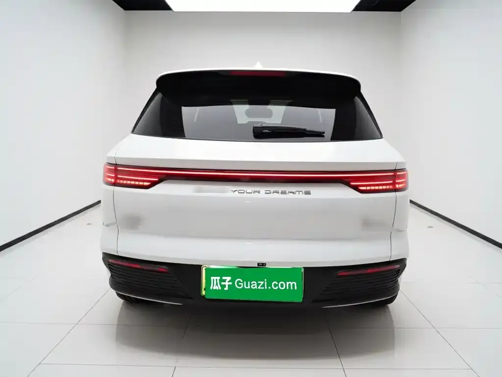 BYD Pro New Energy — фото 10