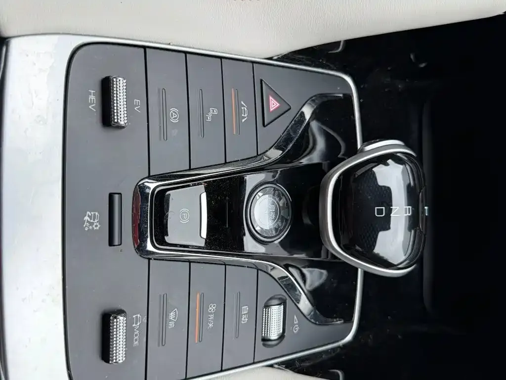 BYD PLUS New Energy — фото 2