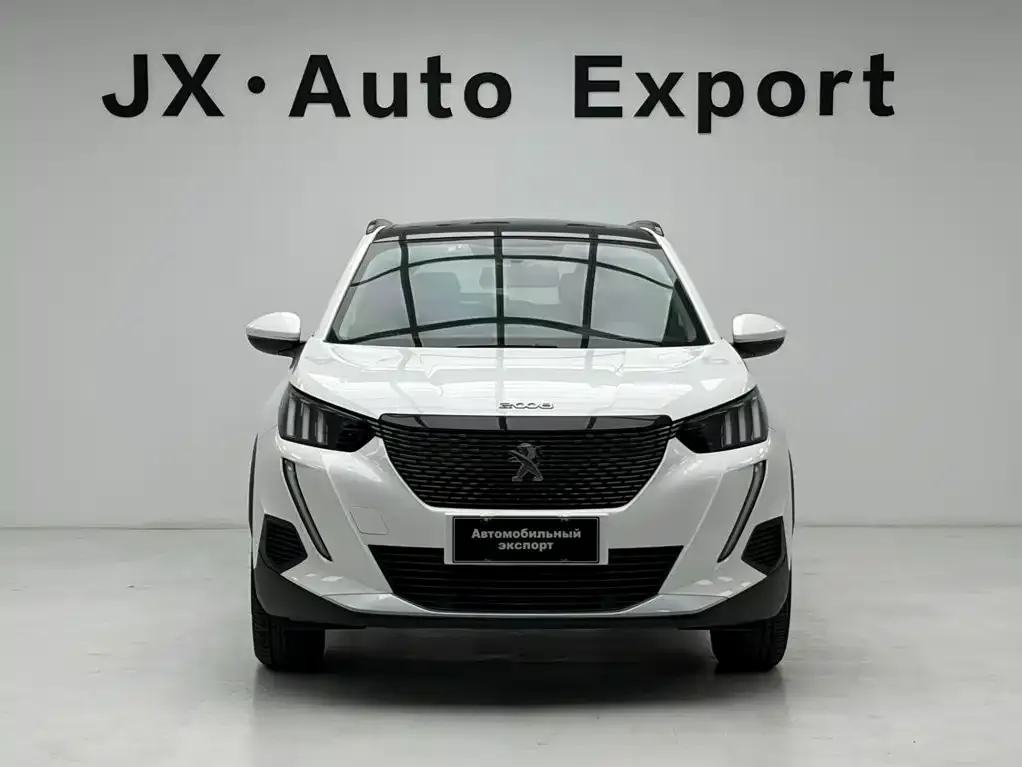 Peugeot 2008 — фото 6