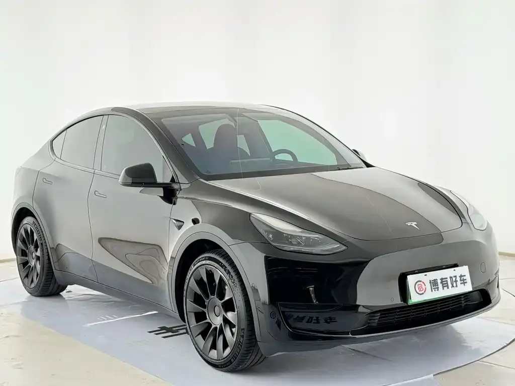 Tesla Model Y — фото 8
