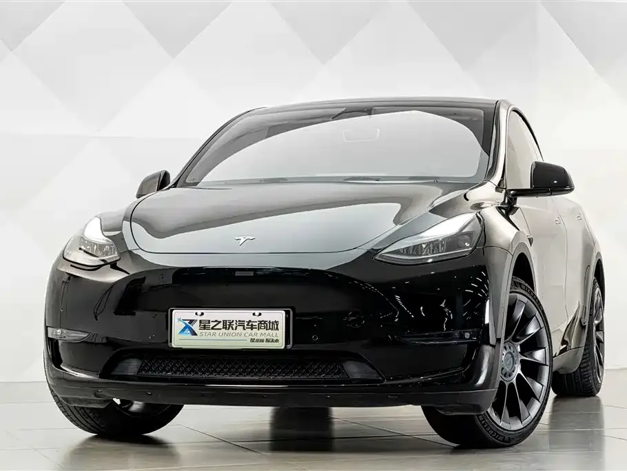 Tesla Model Y — фото 10
