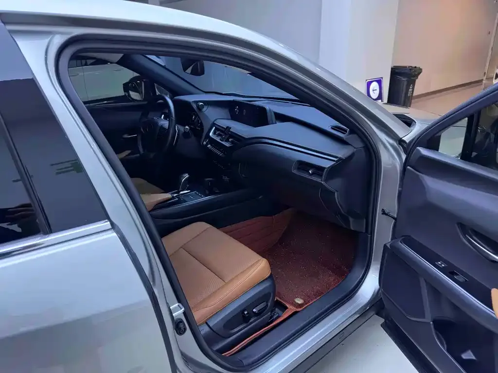 Lexus UX New Energy — фото 9