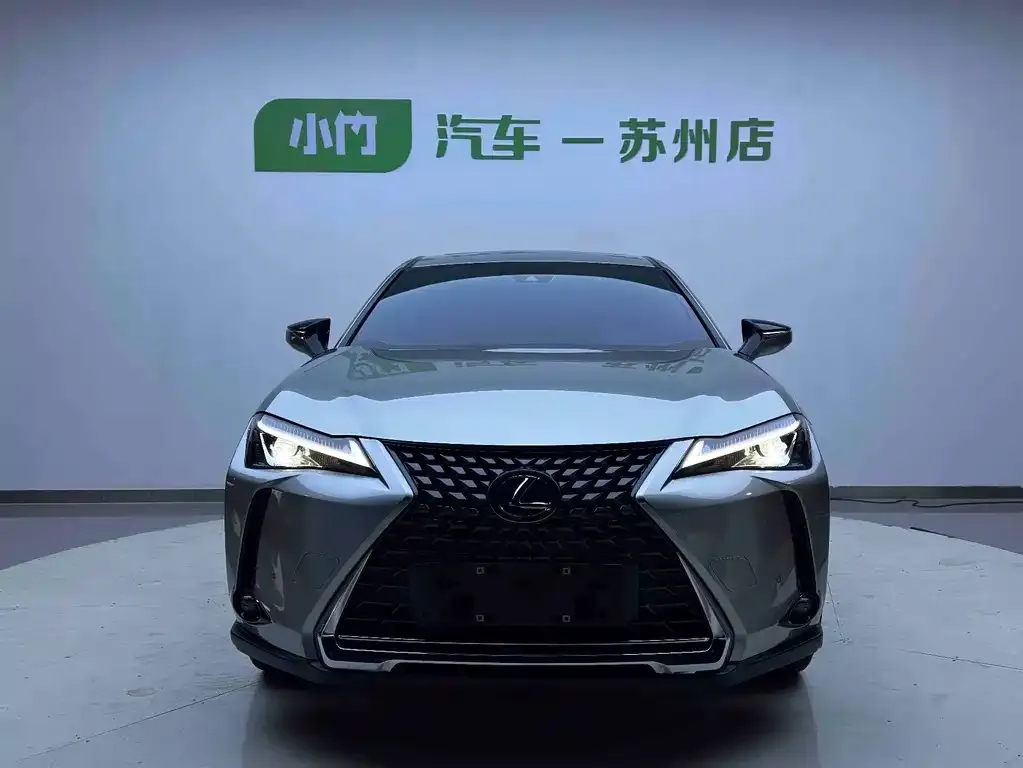 Lexus UX New Energy — фото 2